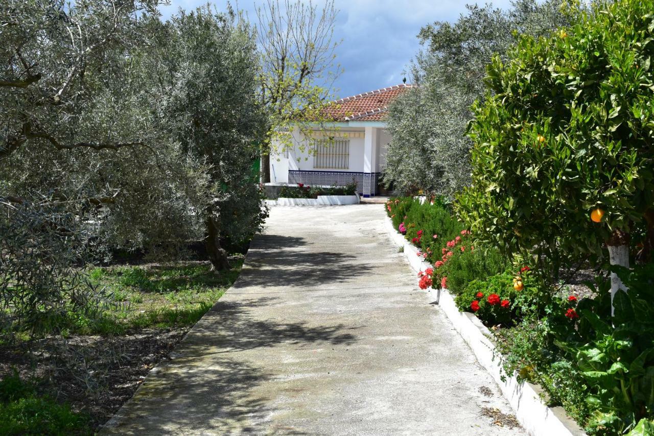 Casa Rural Alejo Málaga Exteriör bild